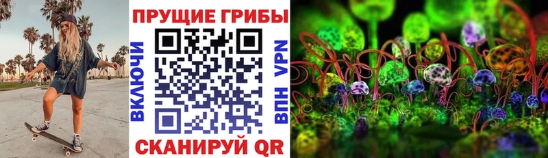 Псилоцибиновые грибы GOLDEN TEACHER  купить закладку  Петровск 